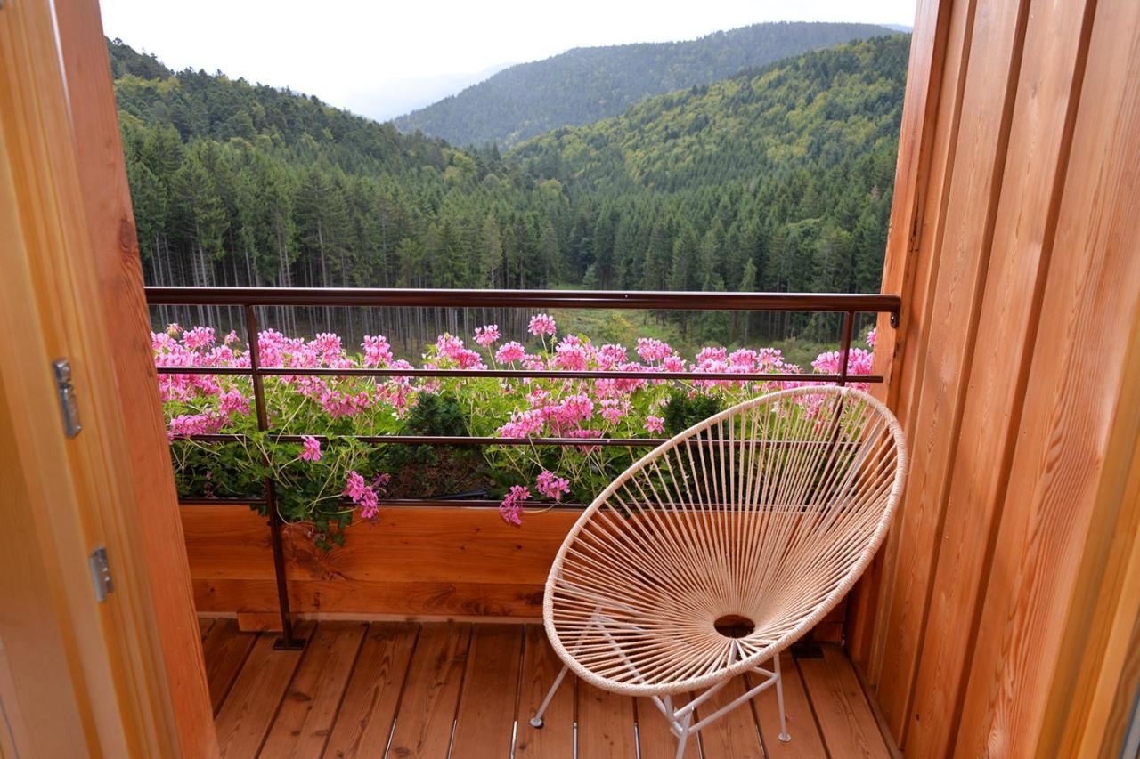 Les Gites D'Adelspach Gites & Spa En Alsace Aubure Экстерьер фото